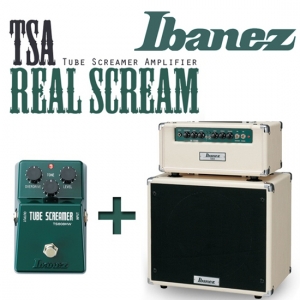 (지엠뮤직) TSA 진공관앰프 15W 일렉기타앰프 Tube Screamer Amplifier